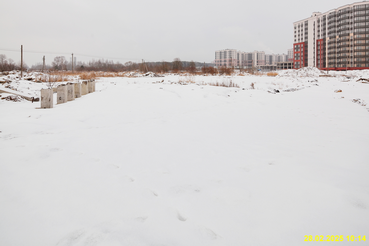 28 февраля 2025