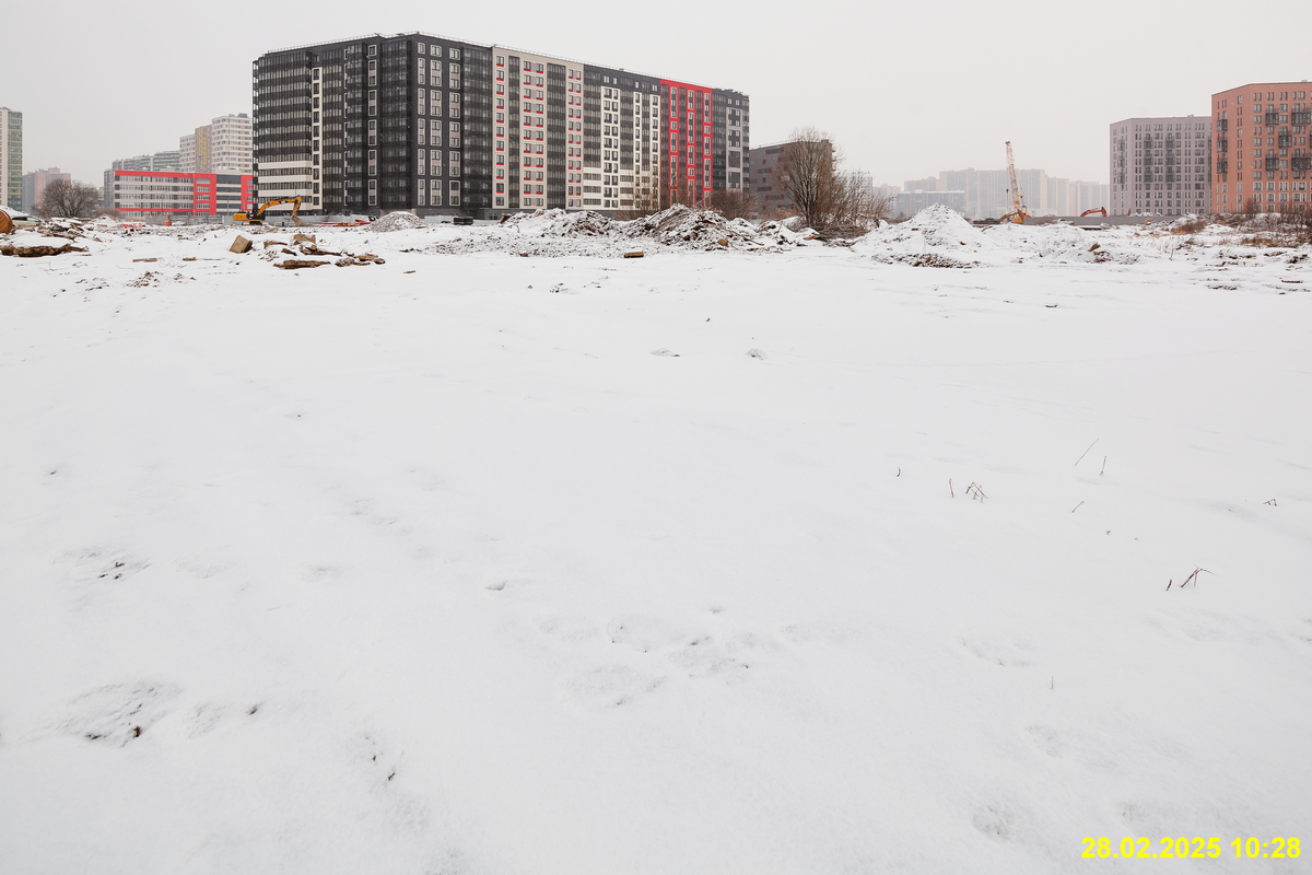 28 февраля 2025