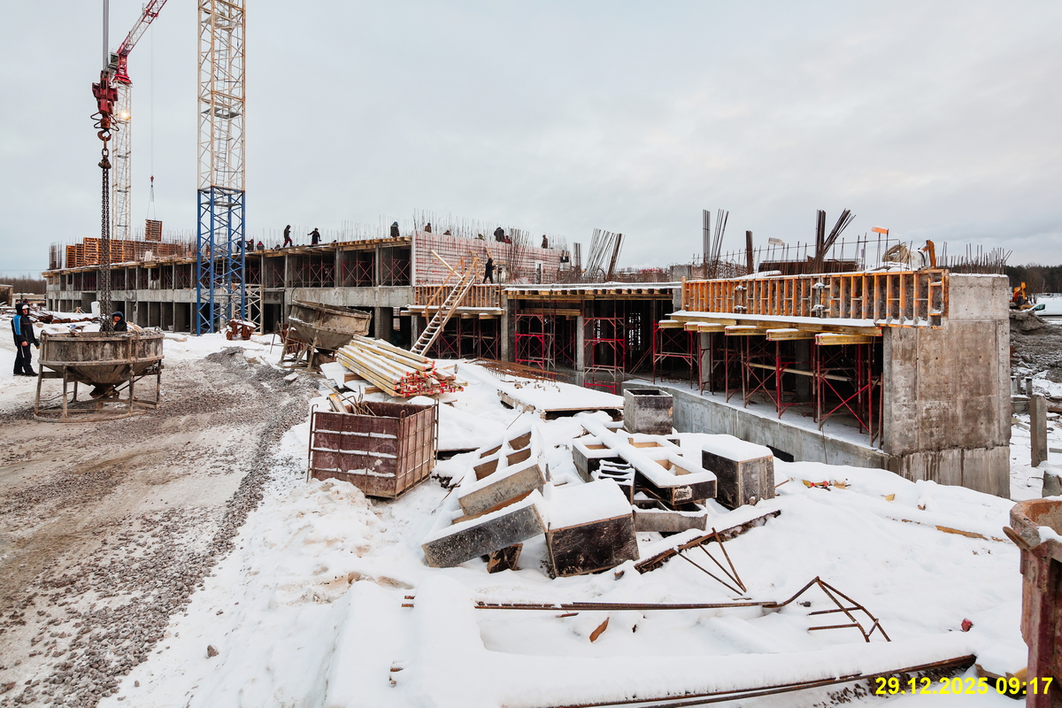 31 декабря 2025