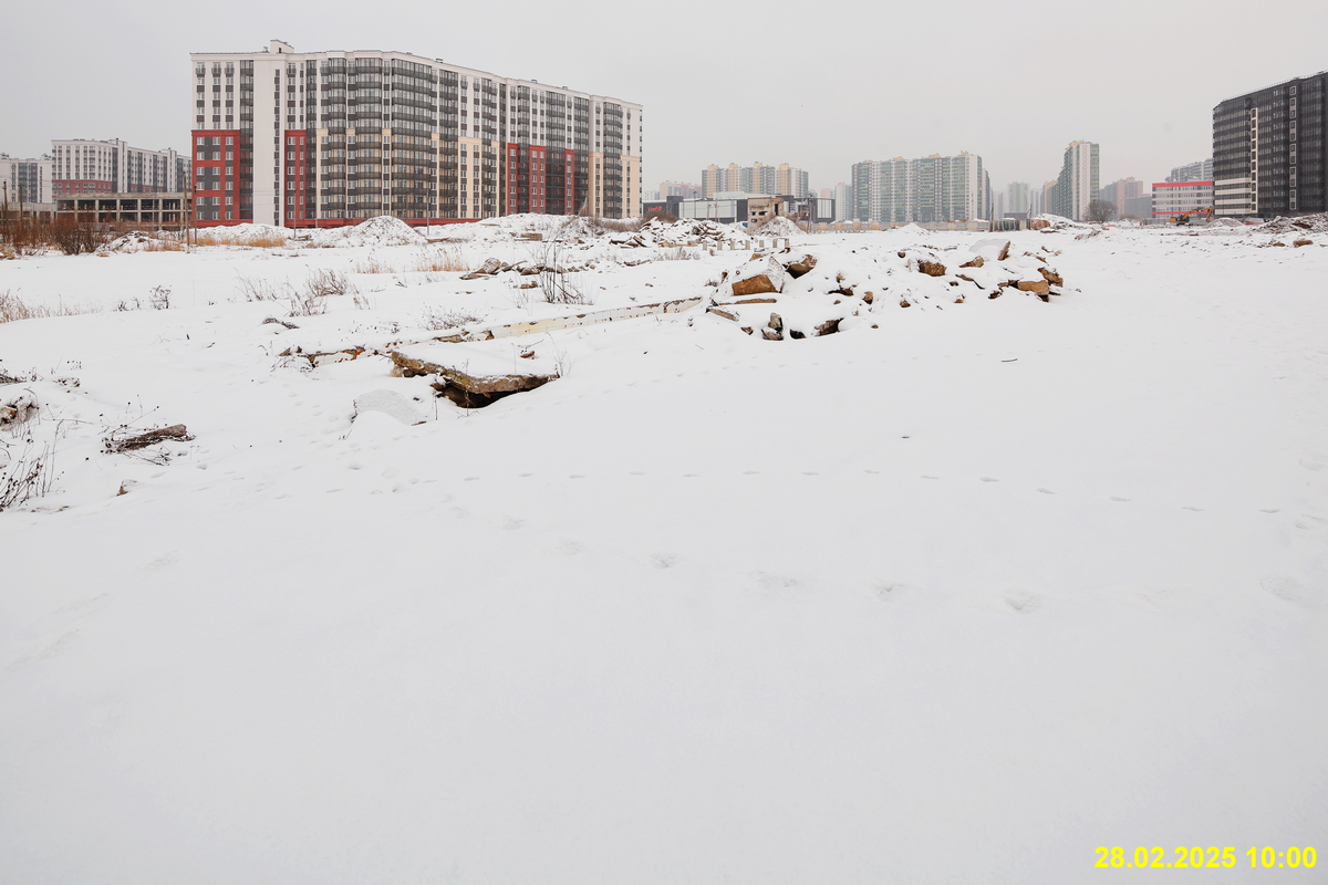 28 февраля 2025