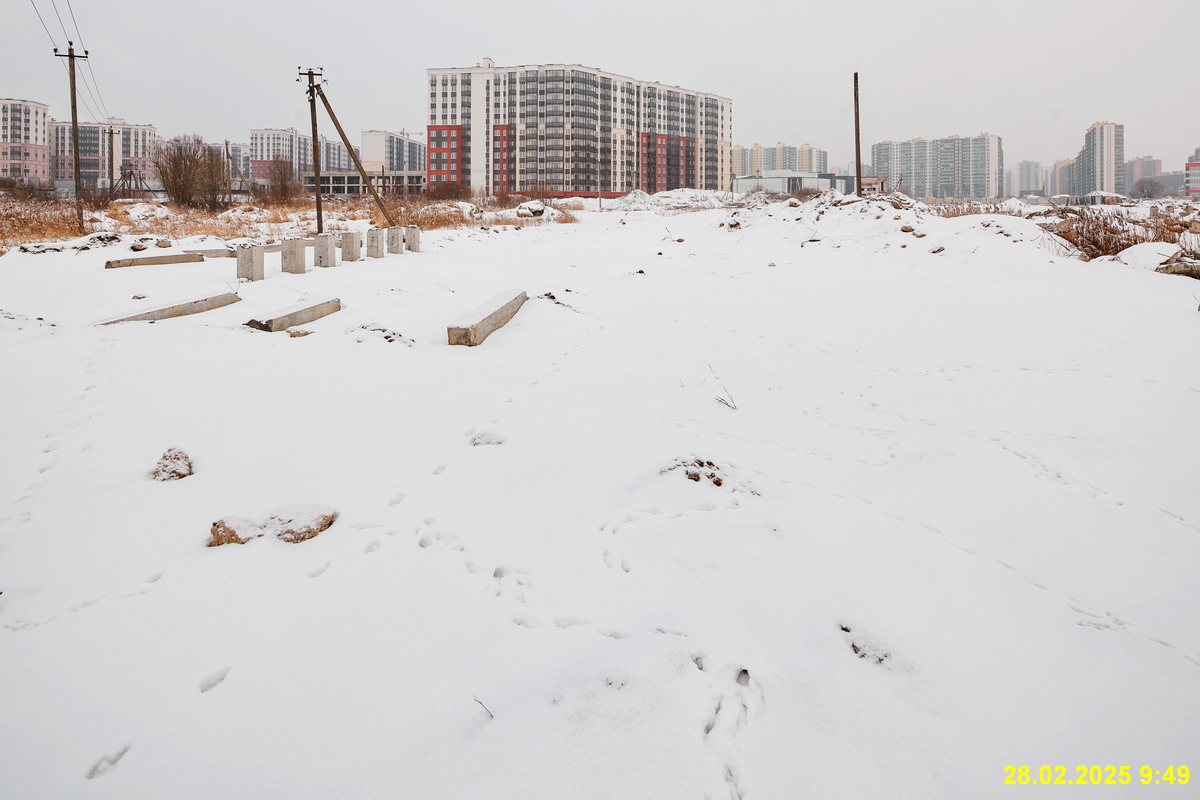 28 февраля 2025