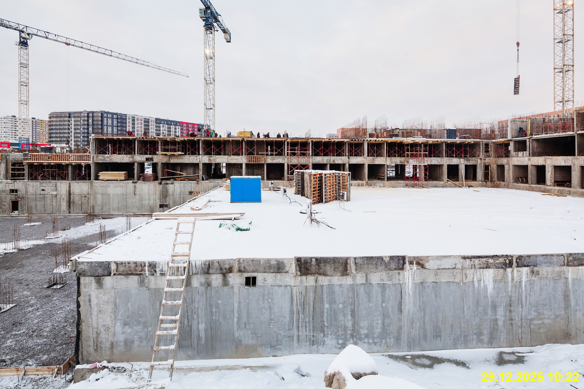 31 декабря 2025