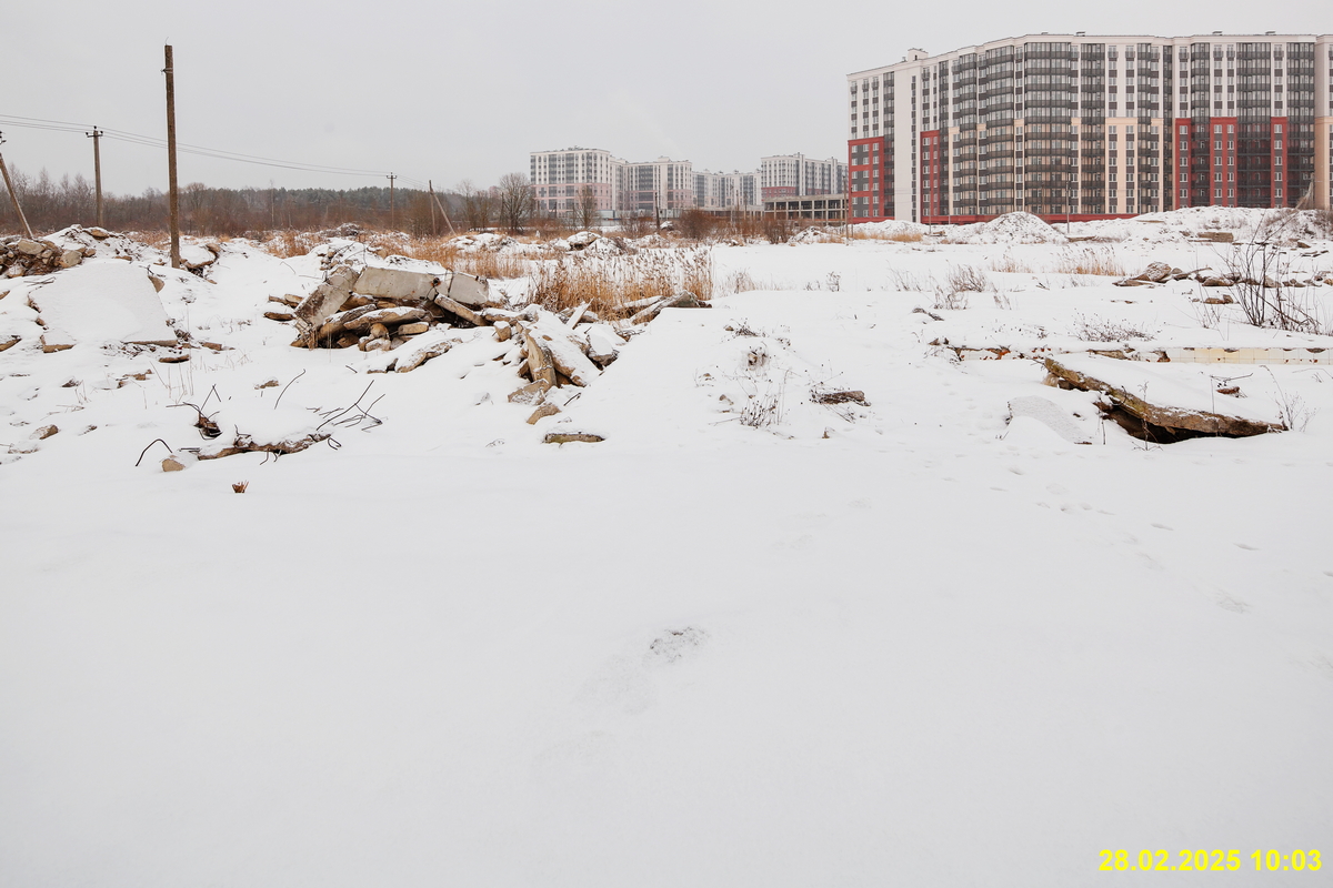 28 февраля 2025