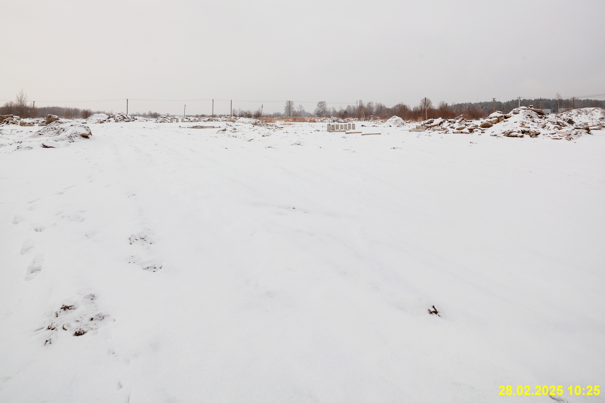 28 февраля 2025