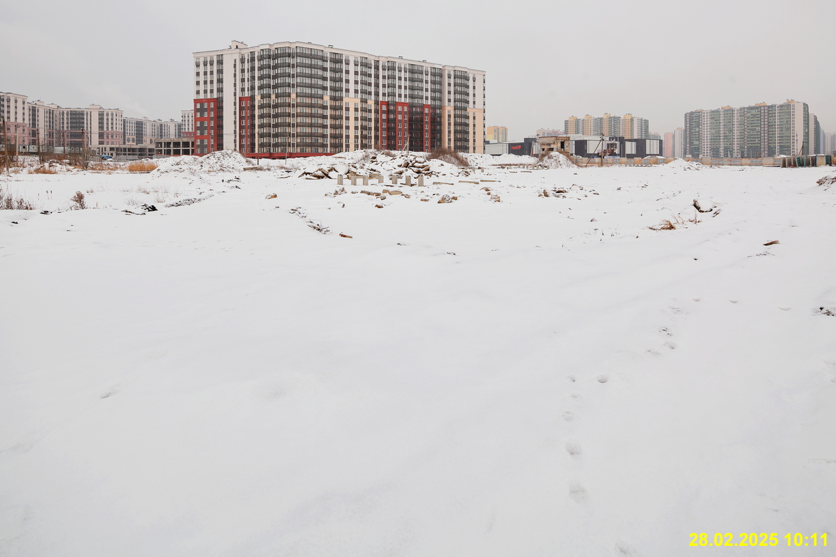 28 февраля 2025