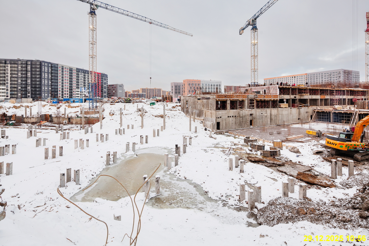 31 декабря 2025