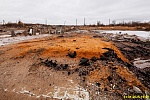 31 января 2025