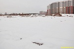 28 февраля 2025