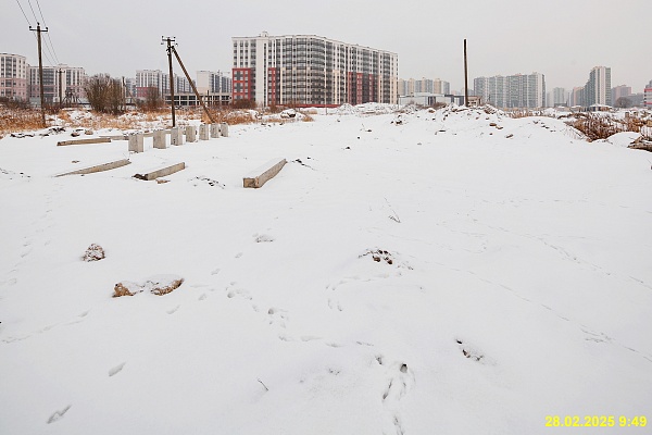 28 февраля 2025
