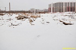 28 февраля 2025