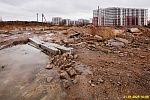 31 января 2025