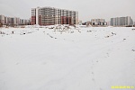 28 февраля 2025