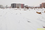 28 февраля 2025