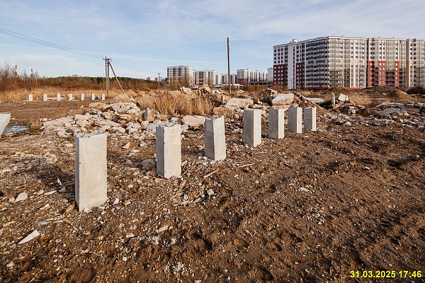 31 марта 2025