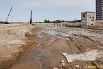 15 июня 2025