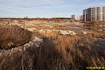31 марта 2025
