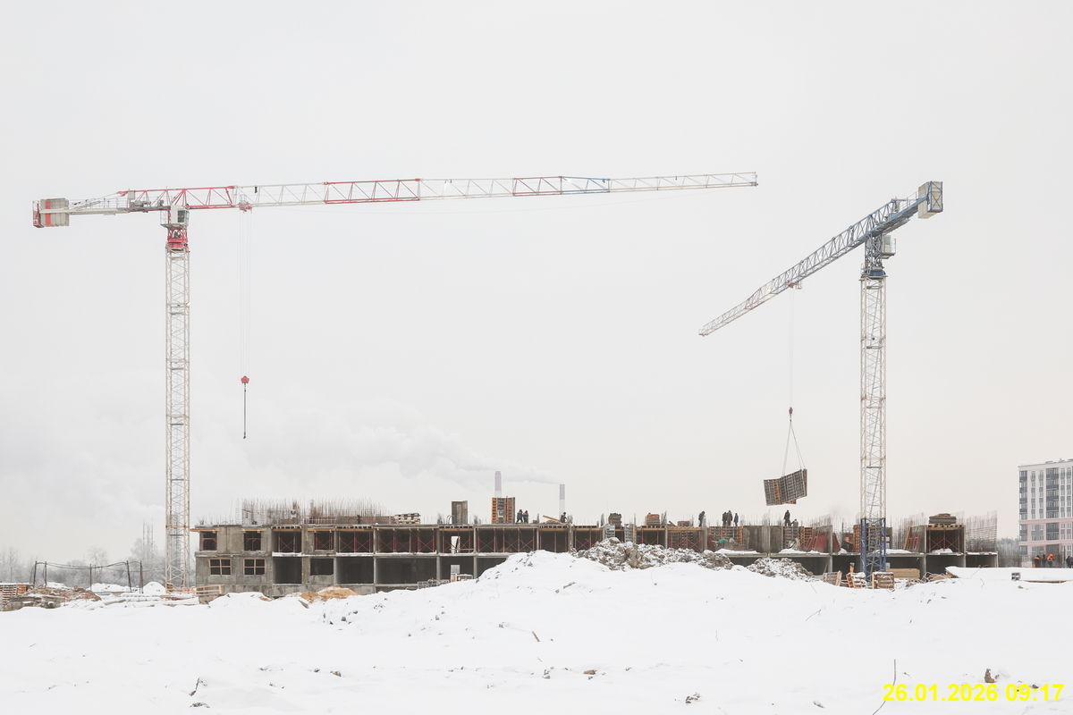 26 января 2026