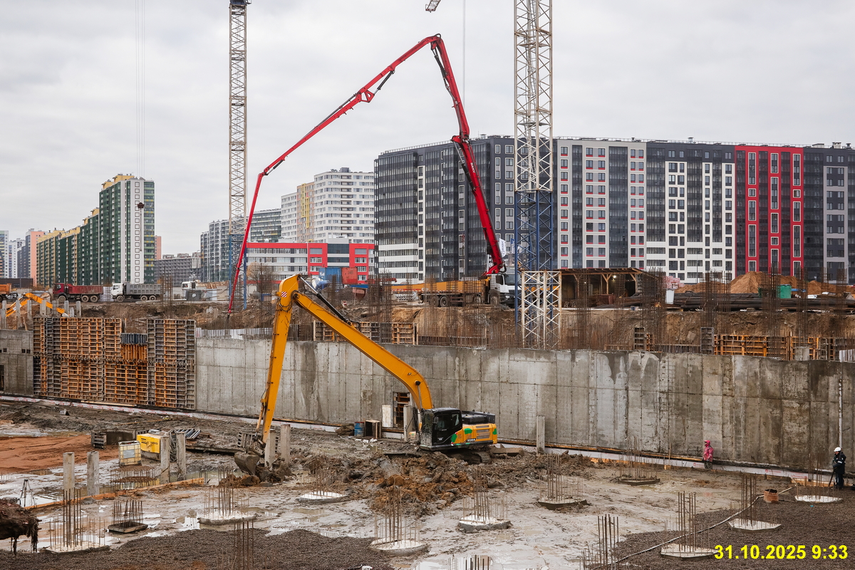 31 октября 2025