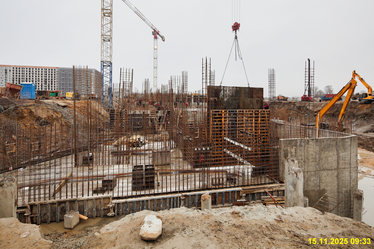 15 ноября 2025