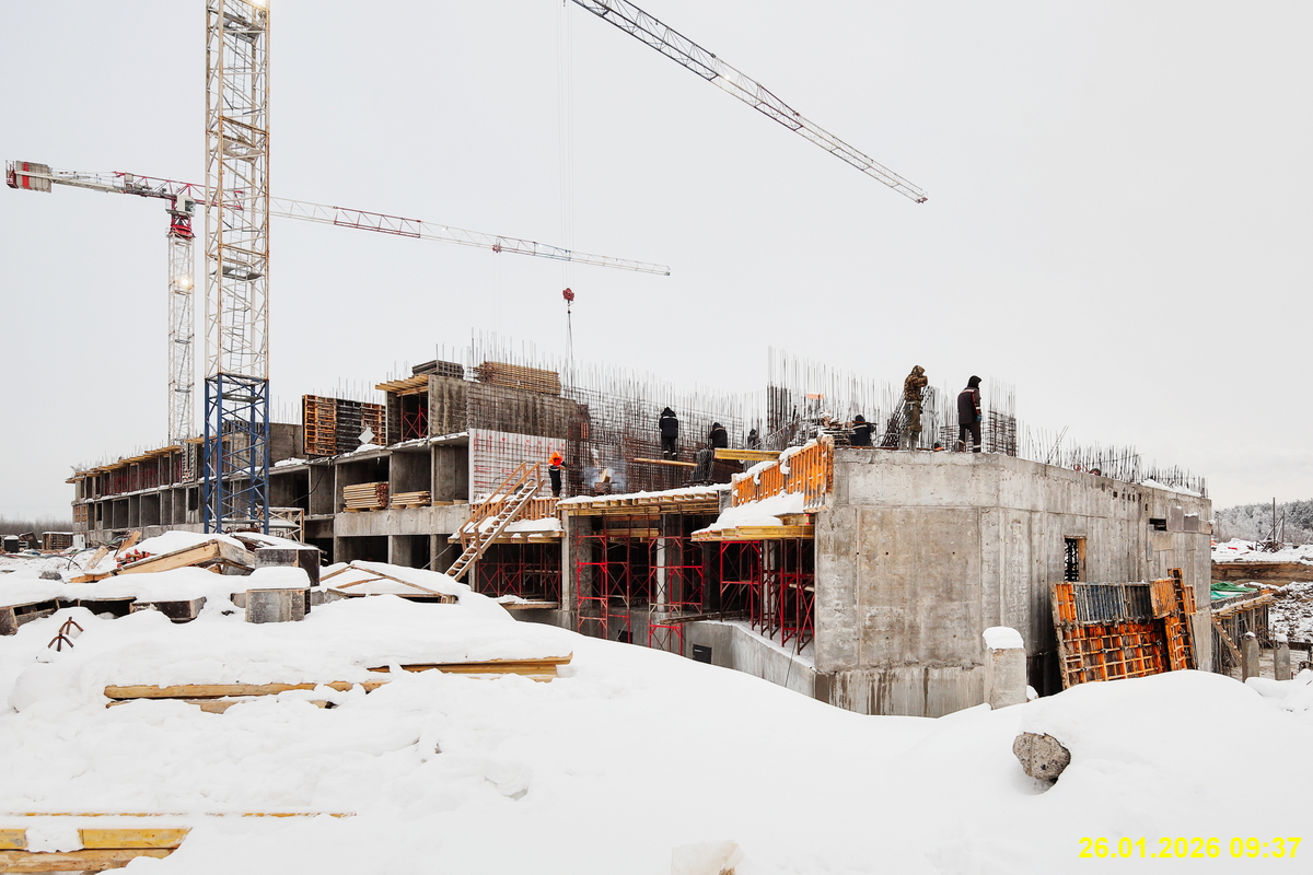 26 января 2026