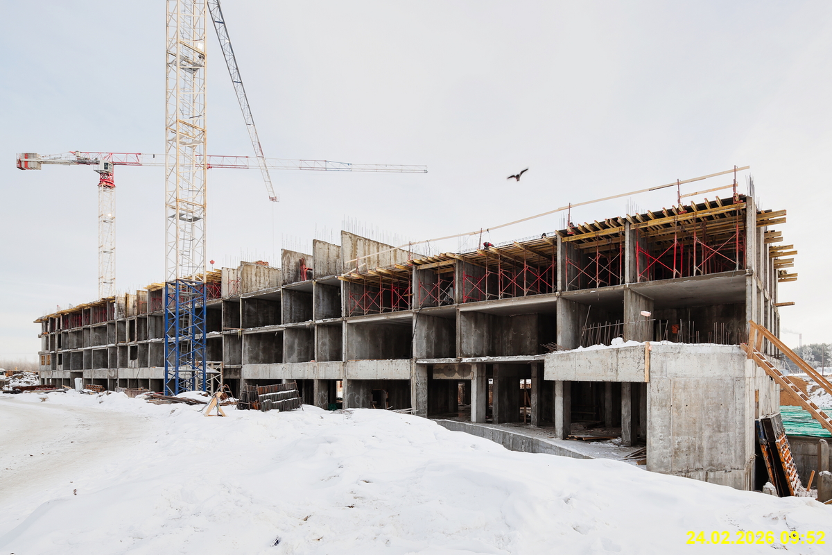 27 февраля 2026