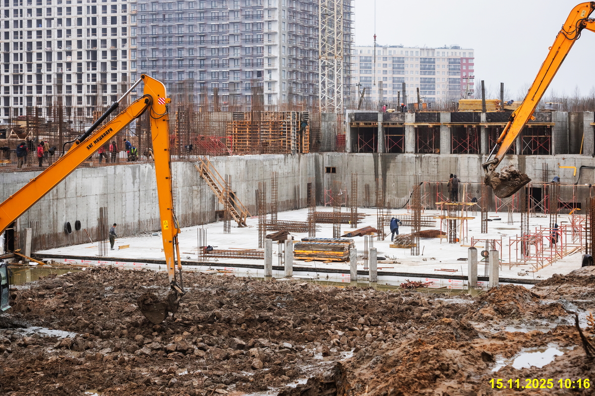 15 ноября 2025