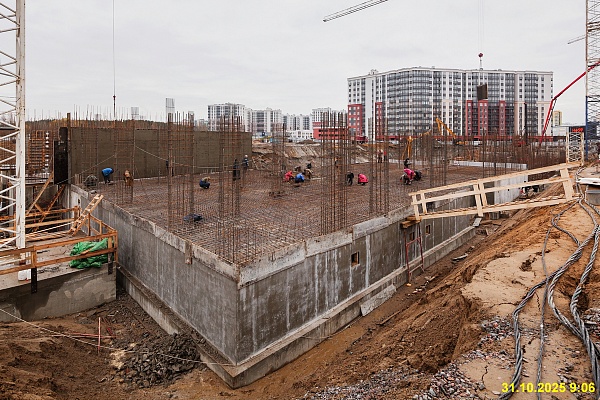 31 октября 2025